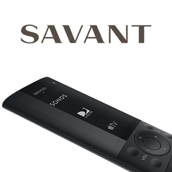  SAVANT 